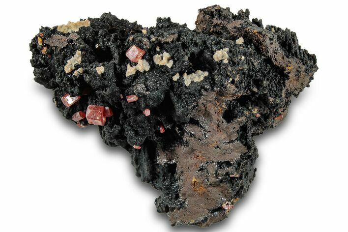 Small Red Vanadinite Crystals on Manganese Oxide - Morocco #292893